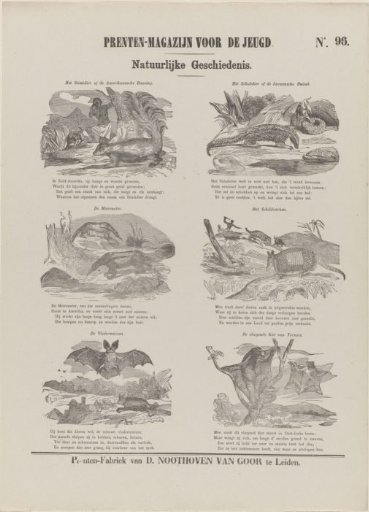 Animals