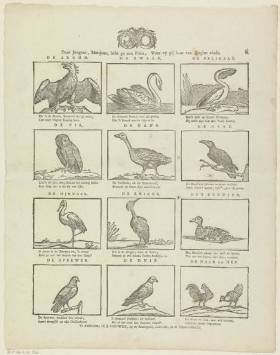 Come on, boys and girls, here is a print where you can find a selection of birds
