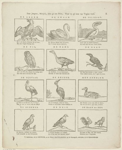 Come on, boys and girls, here is a print where you can find a selection of birds