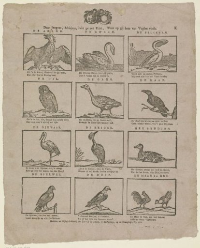 Come on, boys and girls, here is a print where you can find a selection of birds