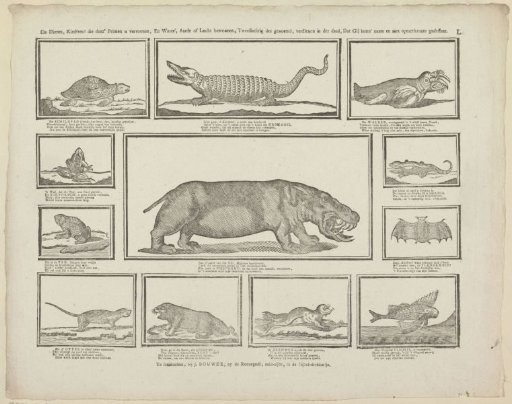 The animals, children! which this print shows you, and which inhabit water, earth or air, being called hermaphrodites, truly deserve that you carefully observe their name and nature