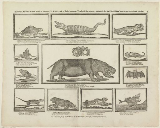 The animals, children! which this print shows you, and which inhabit water, earth or air, being called hermaphrodites, truly deserve that you carefully observe their name and nature