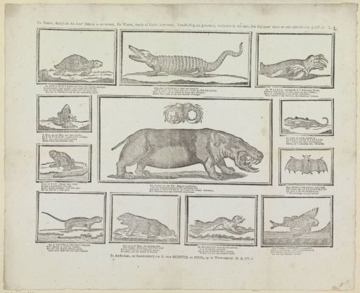 The animals, children! which this print shows you, and which inhabit water, earth or air, being called hermaphrodites, truly deserve that you carefully observe their name and nature