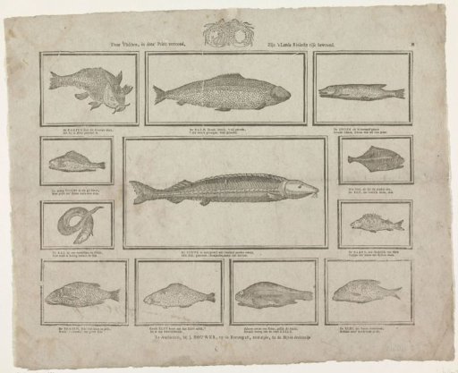 Through the fish shown in this print, the country's rivers are richly inhabited