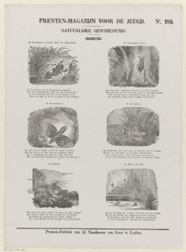 Insects