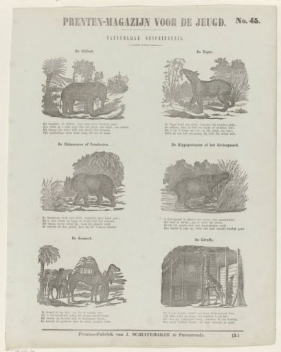 Animals