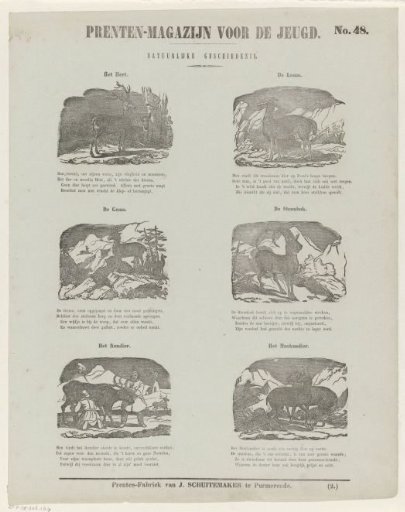 Animals