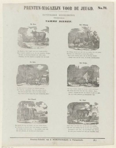 Domestic Animals