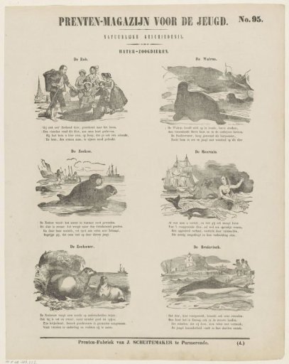 Marine mammals