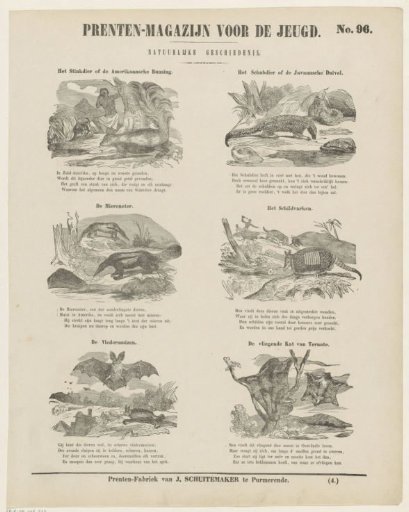 Animals