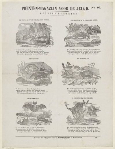 Animals