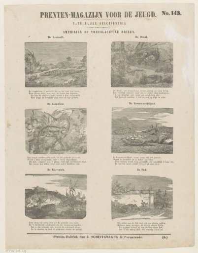 Amphibians or Hermaphrodites