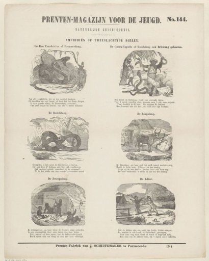 Amphibians or Hermaphrodites
