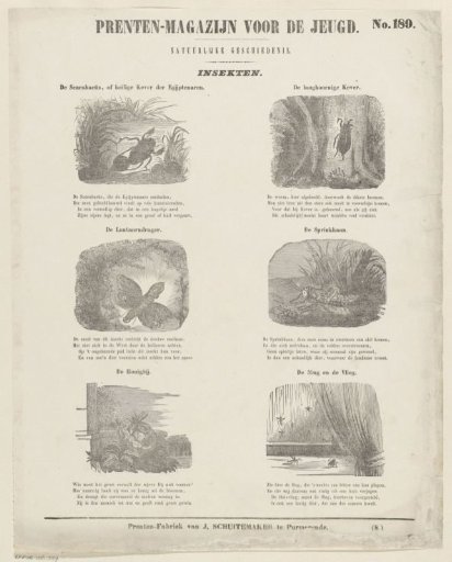 Insects