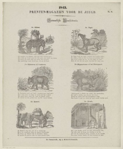 Animals
