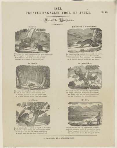 Animals