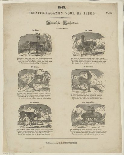 Animals