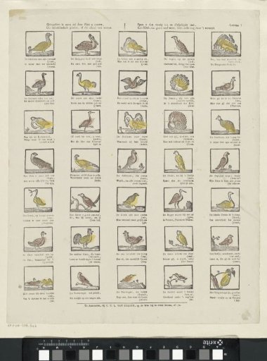 Birds of this kind this plate will show you, / From foreign lands, or those that dwell here too. / Then apply yourself usefully after the task is done. / A child, who loves to know much, learns even through pleasure