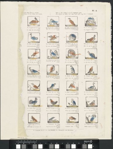 Birds of various kinds this plate will show you, / From foreign lands, or those that dwell here. / So apply yourself usefully after your task is done. / A child, who gladly knows much, even learns through pleasure