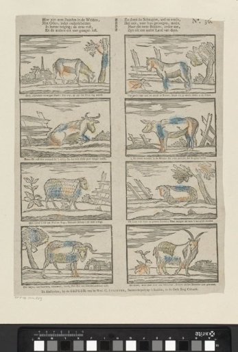 Here one sees horses in the meadows, with oxen, each distinguished [(...)]
