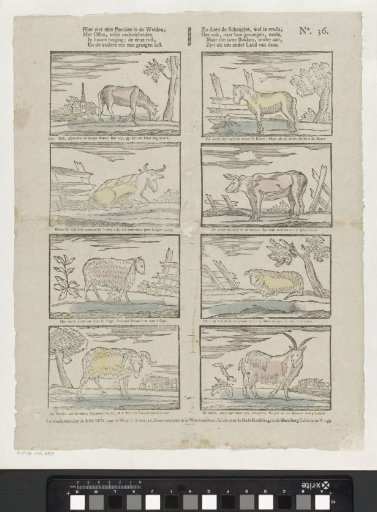 Here one sees horses in the meadows, with oxen, each distinguished [(...)]