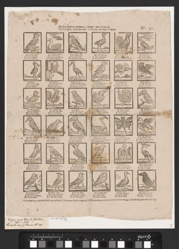 This print display shows, oh youth! to teach you / Many birds, according to their nature, to know by their feathers