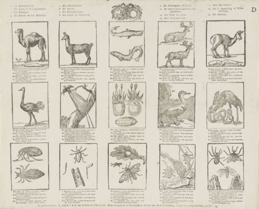Animals and Plants.