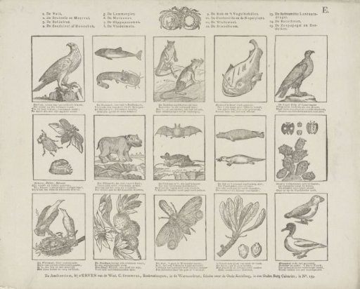 Animals and Plants.