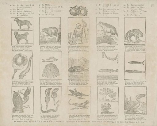 Animals and Plants.
