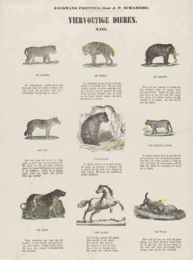 Quadrupeds
