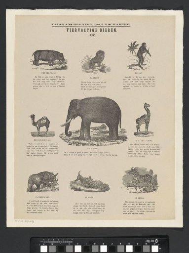 Quadrupeds