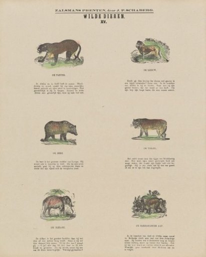 Wild Animals