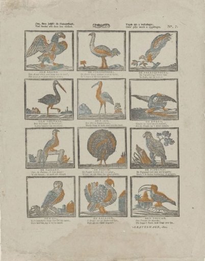 Behold, dear youth! this feathered game, / Many lands are adorned by them. / Birds are your delight, / This print is dedicated to you