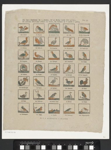 Behold, dear children, that is the pleasure, thirty-five birds you will find here, / The fine printing art seems to give life to these creatures on paper