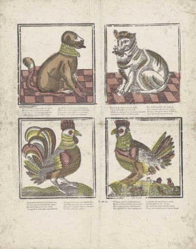 Animals