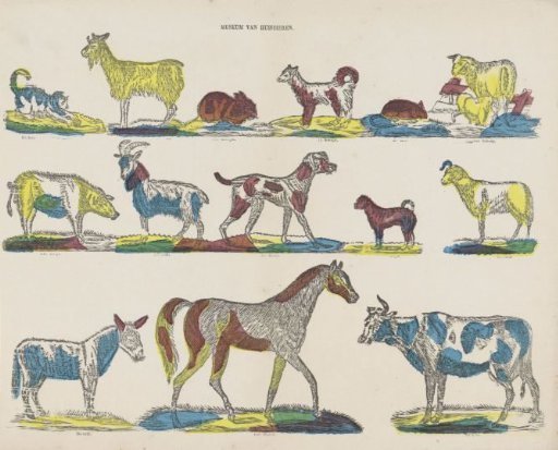 Museum of domestic animals