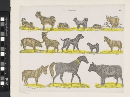 Museum of domestic animals