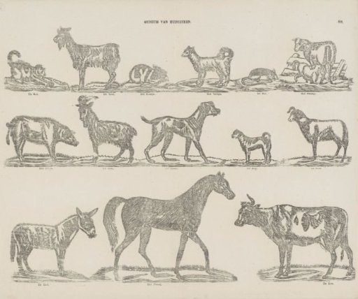 Museum of domestic animals