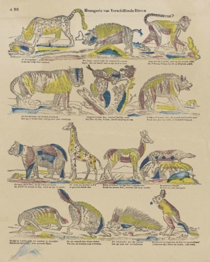 Menagerie of various animals