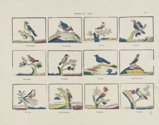 Museum of Birds