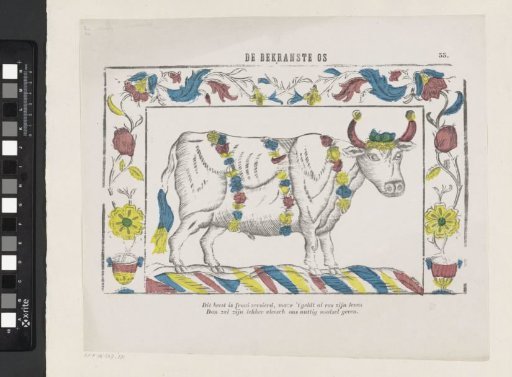 The crowned ox