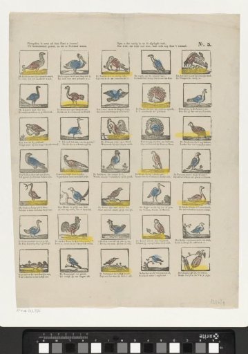 This plate will show you birds of all kinds! / From foreign lands, and those that dwell in the Netherlands / Apply yourself diligently after the task is done, / A child who loves to know much, even learns through pleasure