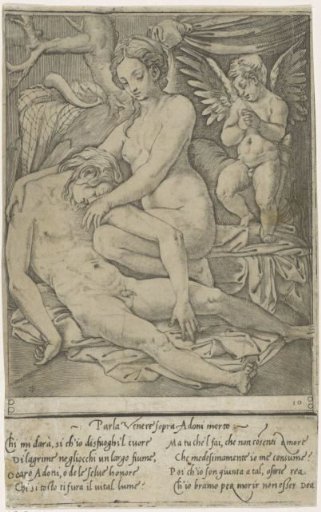 Venus and the Dead Adonis