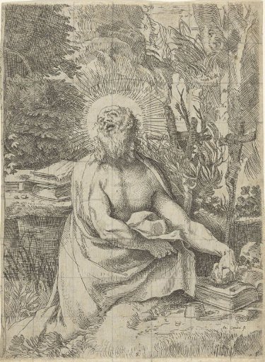 De heilige Hieronymus in de wildernis