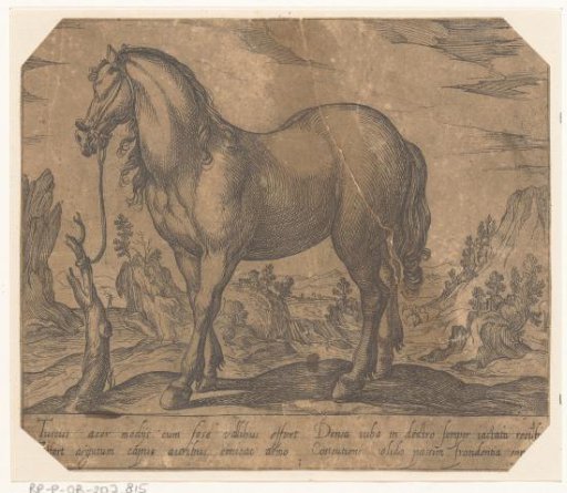 A horse tied to a tree stump