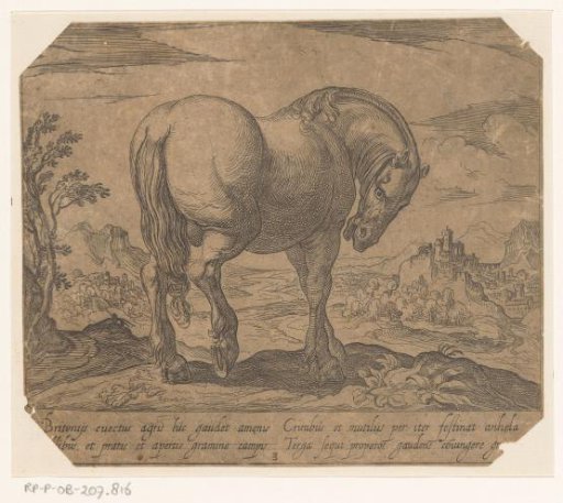 Standing horse with head down, turned to the right