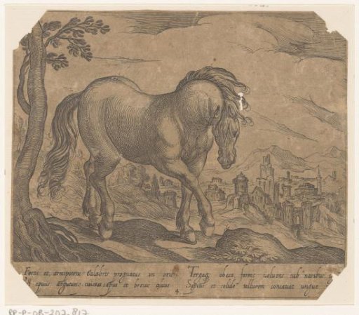 Standing horse turned to the right, with head down towards the viewer