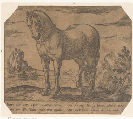 Standing horse turned to the left, before a seascape