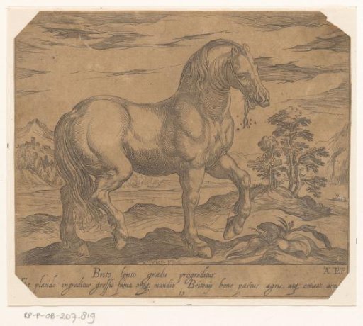 Standing horse turned to the right