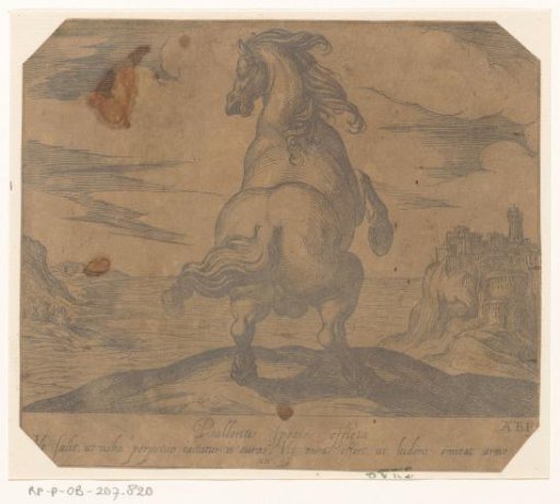 Rearing horse seen from behind before a seascape